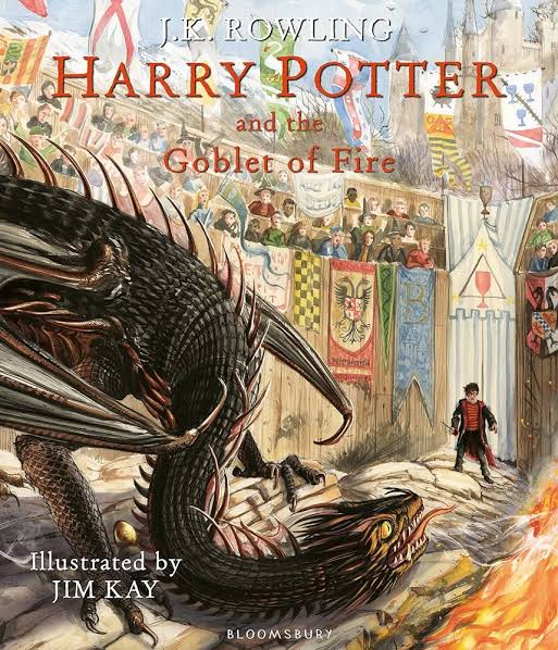 Harry Potter Goblet of Fire illustrated edition