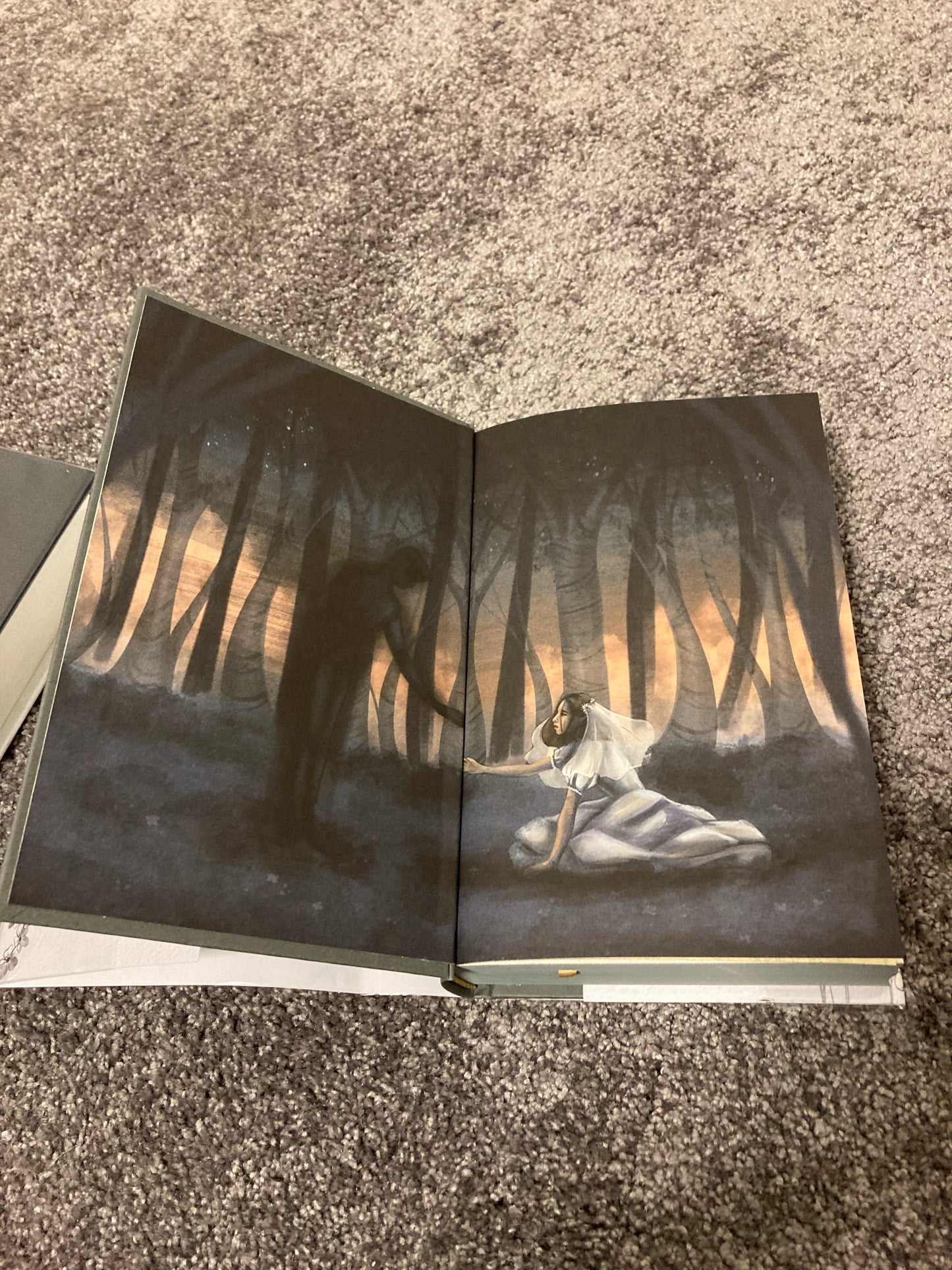 The invisible life of Addie larure special collector's edition
